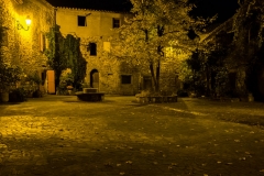 DSCF0957