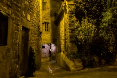 DSCF0959