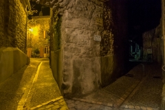 DSCF0960