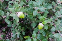 DSCF0449