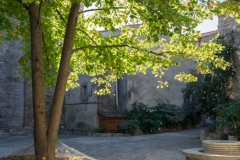 DSCF0499