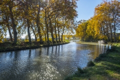 DSCF1117