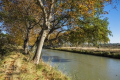 DSCF1122