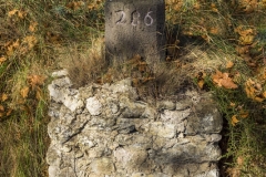 DSCF1123