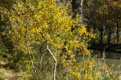 DSCF1135