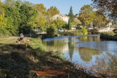DSCF1142
