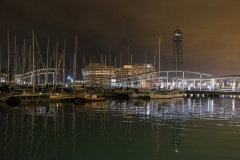 DSCF1446