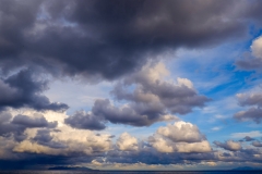 DSCF1887