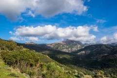 DSCF2050