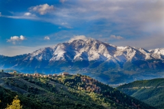 DSCF1954