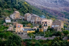 DSCF1956