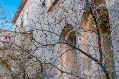 DSCF1088