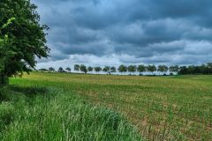 1_DSCF5396
