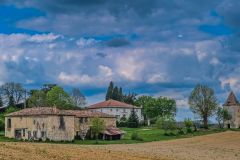 DSCF5224