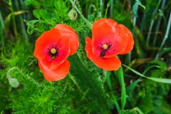 DSCF5402