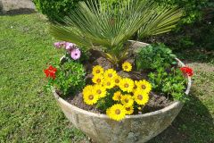 IMG_20230428_124237