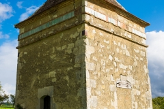 DSCF3192