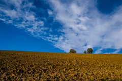 DSCF3840a