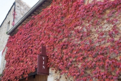 DSCF1027