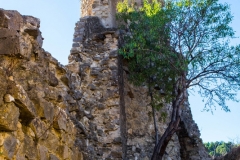 DSCF1045