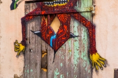 DSCF1651