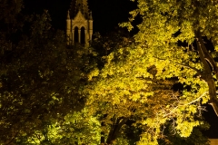 DSCF0746