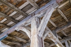 DSCF0551