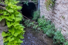 DSCF0368