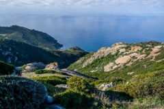DSCF2135