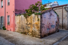 DSCF2248