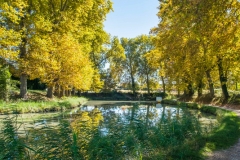 DSCF0913