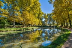 DSCF0914