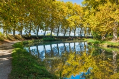 DSCF0915