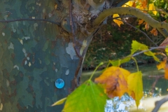 DSCF0919