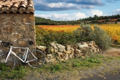 IMG_20151029_151543a