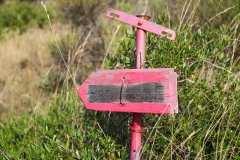 DSCF0864