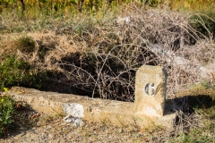 DSCF0875